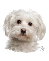 c2927a8e4ae88340371ce2d9c6cb